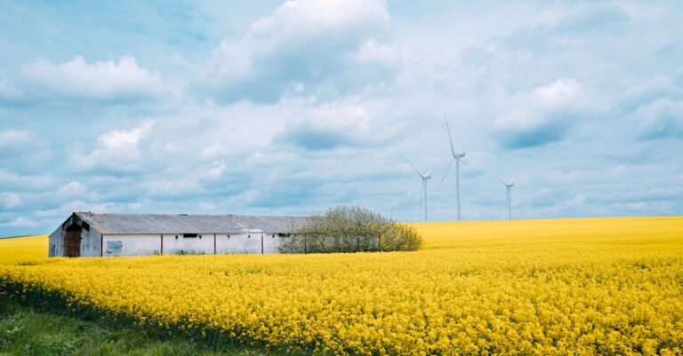 découvrez une ferme écologique qui respecte l'environnement grâce à des pratiques durables, favorisant la biodiversité et la production responsable.