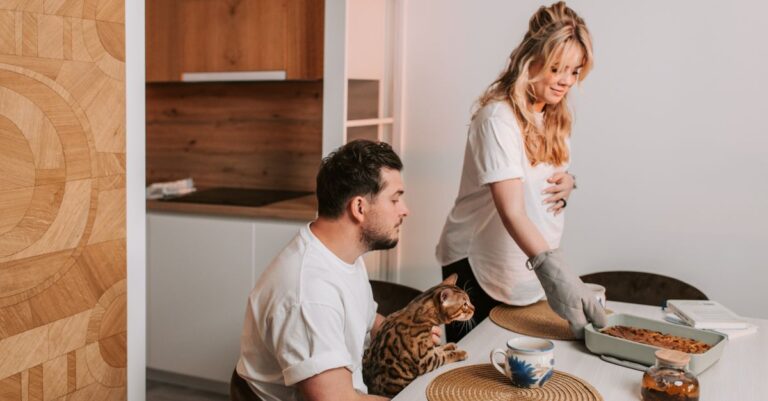 découvrez nos conseils pour une cohabitation harmonieuse avec vos chats, afin d'assurer bien-être et bonheur à toute la famille.