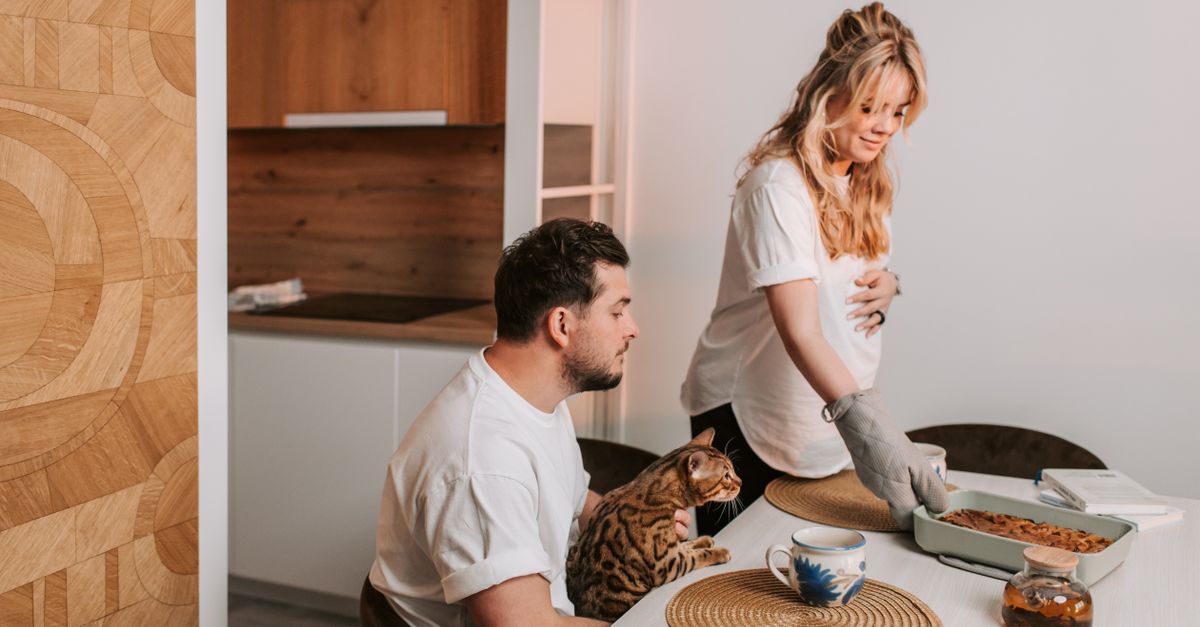 découvrez nos conseils pour une cohabitation harmonieuse avec vos chats, afin d'assurer bien-être et bonheur à toute la famille.